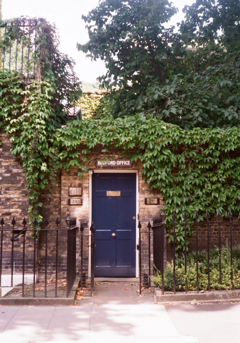 A cute leafy door in Bloomsbury, London. 
