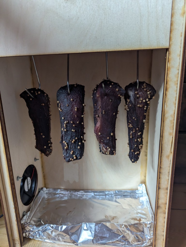 An early batch of biltong, mid-drying process.